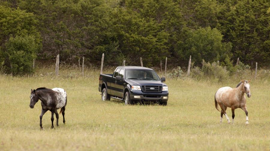  Ford F-150 SuperCab 2004 года  (фото 11 из 47)